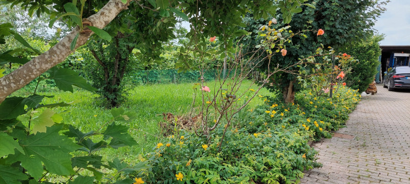 Immagine 4 di Casa indipendente in vendita  in Via Grantorto, 225/A a Piazzola Sul Brenta