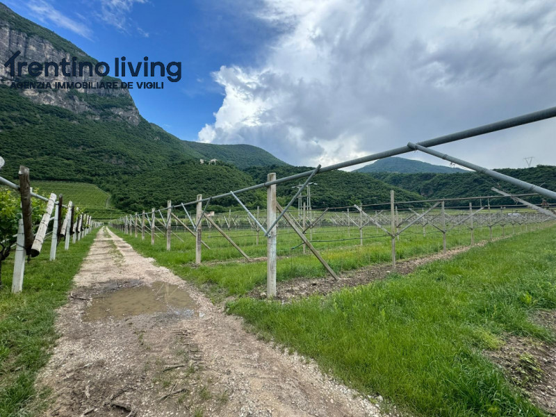 Immagine 5 di Terreno in vendita  a San Michele All'adige