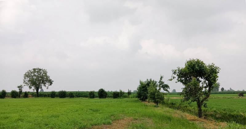 Immagine 5 di Casa indipendente in vendita  in località casalpoglio a Castel Goffredo