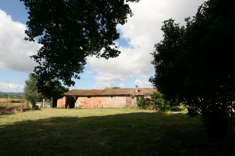 Immagine 6 di Casa indipendente in vendita  a Montepulciano