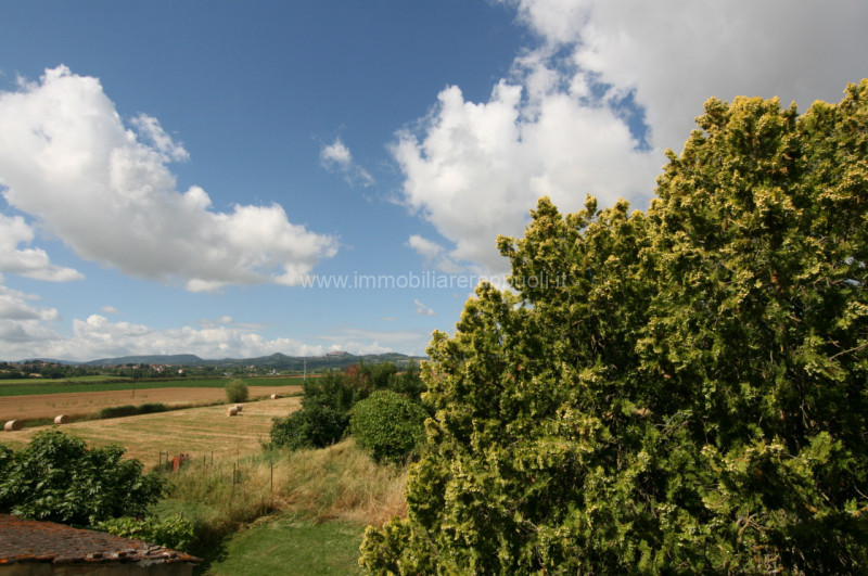 Immagine 18 di Casa indipendente in vendita  a Montepulciano