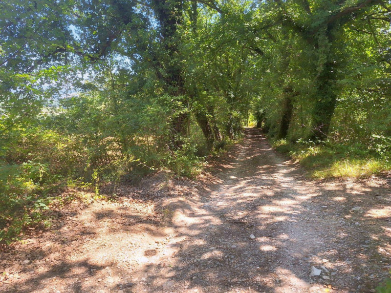 Immagine 8 di Terreno in vendita  in Loc. Paganello - Via dell'Eremo, N. snc a Monte Castello Di Vibio