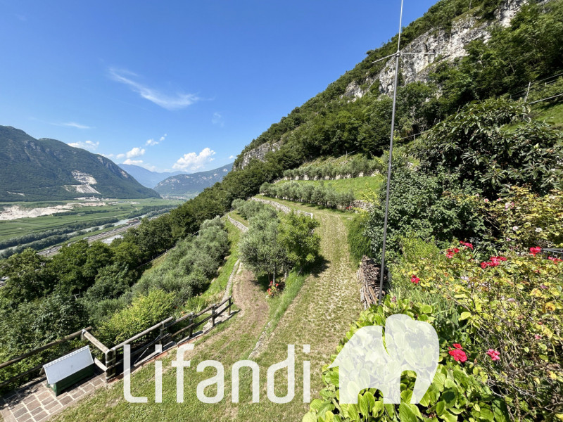 Immagine 6 di Villa in vendita  a Ala