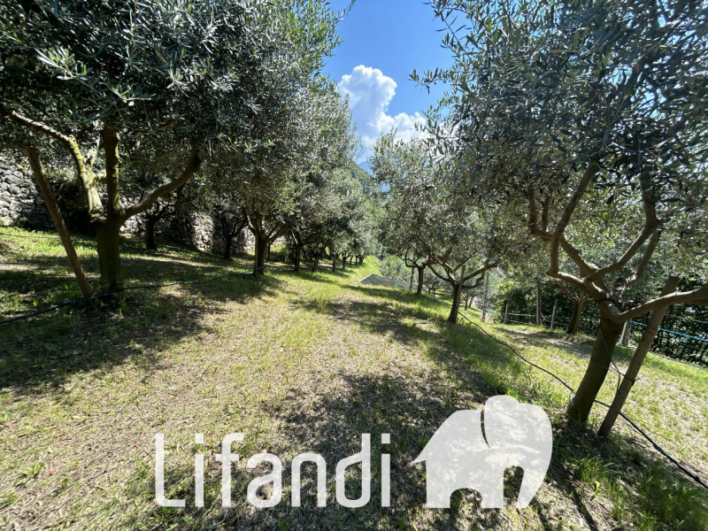 Immagine 7 di Villa in vendita  a Ala