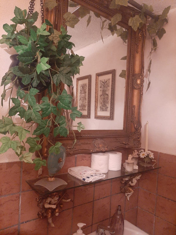 Immagine 14 di Rustico / casale in vendita  in Contrada Le Fornaci a Paliano