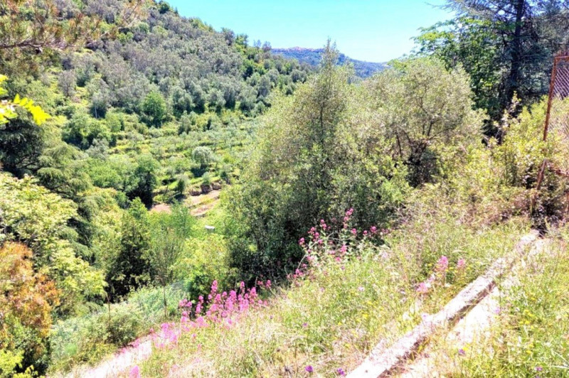 Immagine 4 di Terreno in vendita  in Strada Provinciale 45, N. snc a Pietrabruna