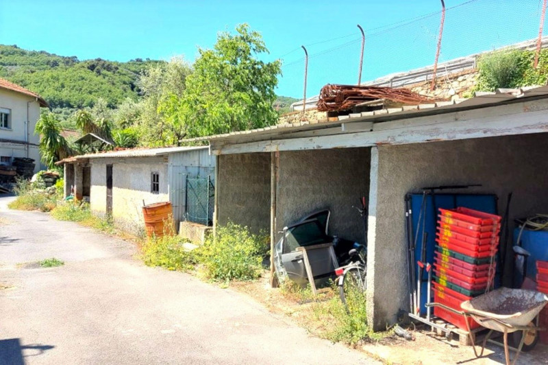 Immagine 5 di Terreno in vendita  in Strada Provinciale 45, N. snc a Pietrabruna