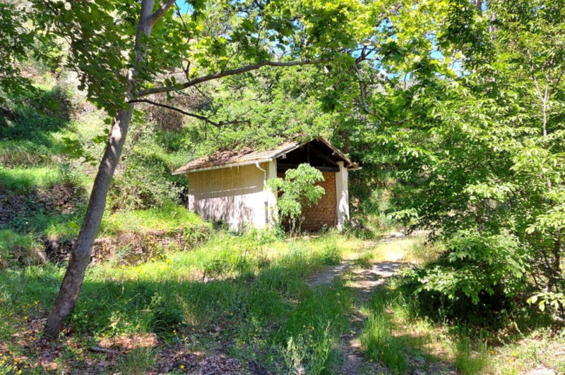 Immagine 8 di Terreno in vendita  in Strada Provinciale 45, N. snc a Pietrabruna