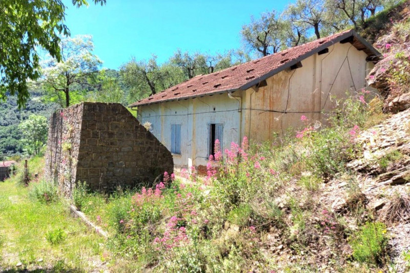 Immagine 10 di Terreno in vendita  in Strada Provinciale 45, N. snc a Pietrabruna