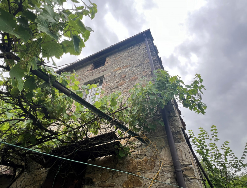 Immagine 6 di Rustico / casale in vendita  in Loc. Campello a Terenzo