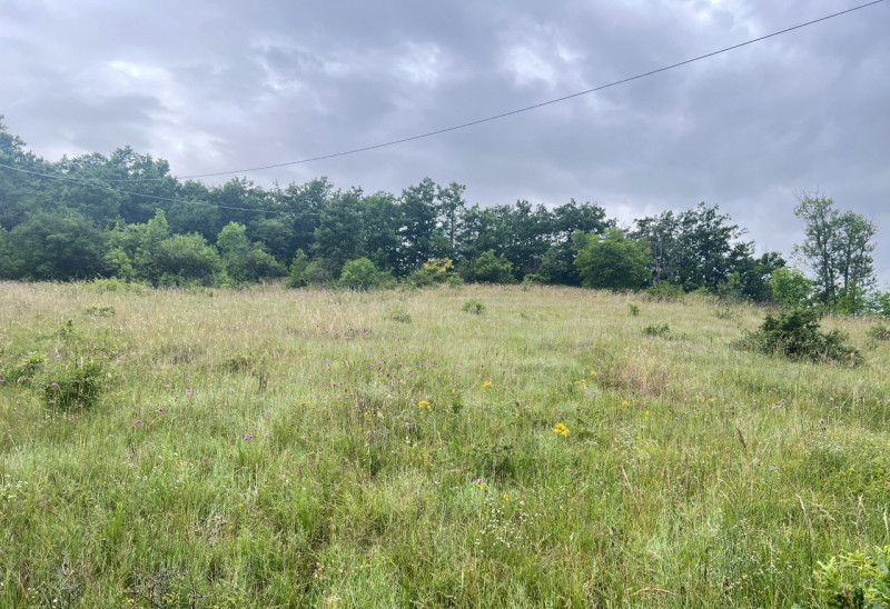 Immagine 23 di Rustico / casale in vendita  in Loc. Campello a Terenzo