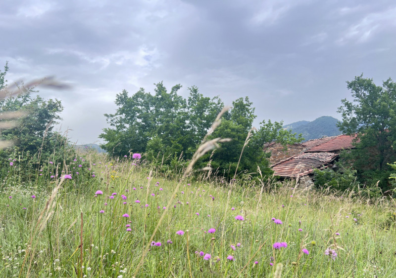 Immagine 25 di Rustico / casale in vendita  in Loc. Campello a Terenzo