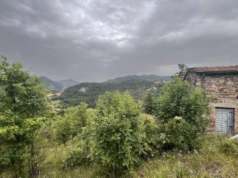 Immagine 29 di Rustico / casale in vendita  in Loc. Campello a Terenzo