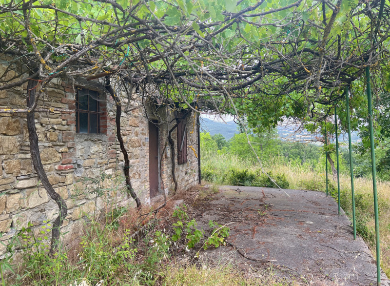 Immagine 35 di Rustico / casale in vendita  in Loc. Campello a Terenzo