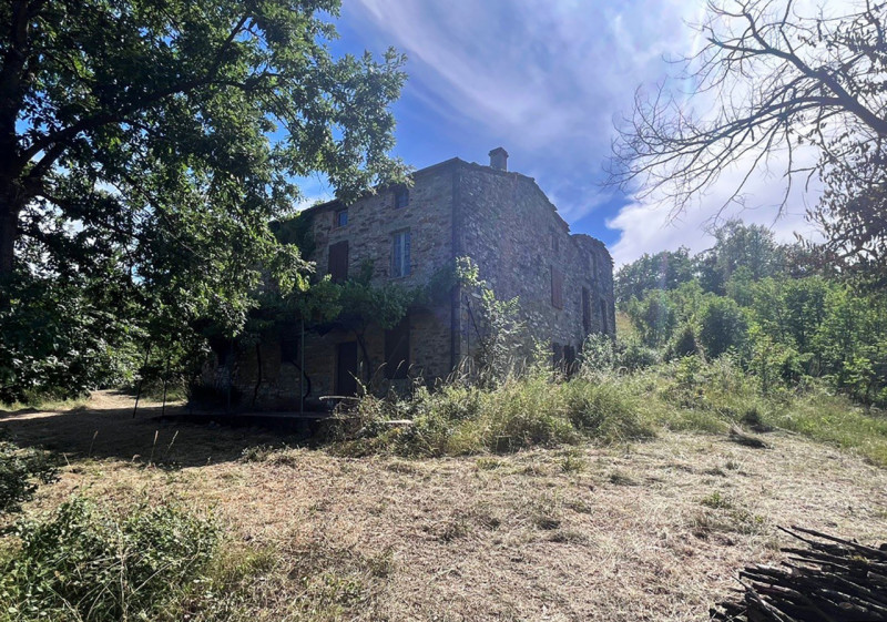 Immagine 41 di Rustico / casale in vendita  in Loc. Campello a Terenzo