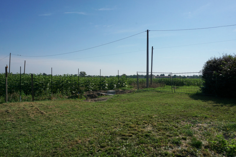 Immagine 4 di Villetta a schiera in vendita  in Strada della Puia, 9 a Sorbolo Mezzani
