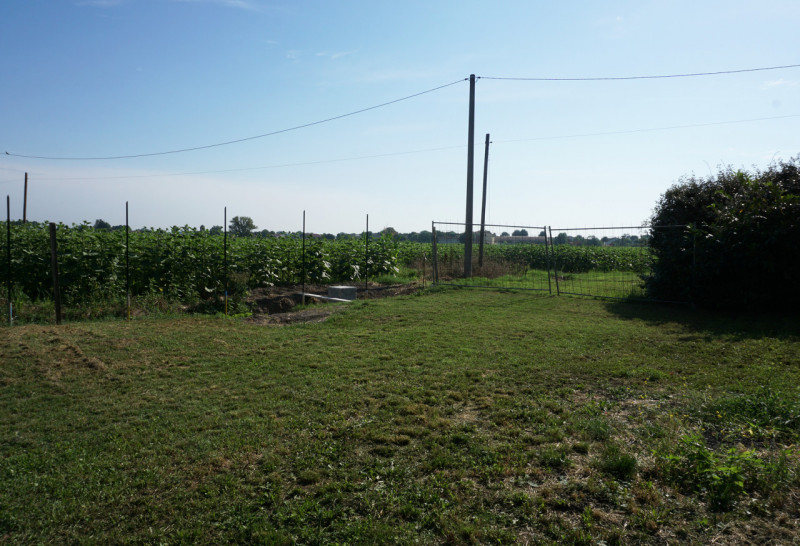 Immagine 8 di Villetta a schiera in vendita  in Strada della Puia, 9 a Sorbolo Mezzani