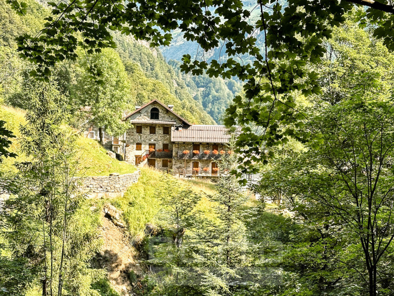 Immagine 20 di Rustico / casale in vendita  a Fobello