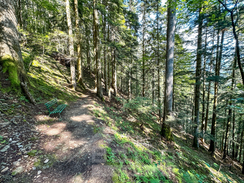 Immagine 24 di Rustico / casale in vendita  a Fobello