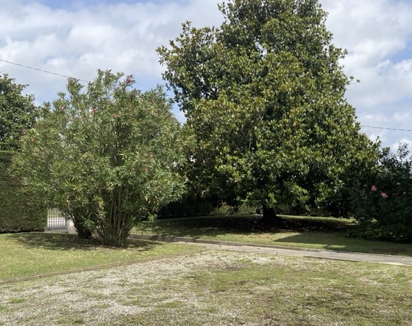 Immagine 30 di Casa indipendente in vendita  in Via Silvio Pellico a Piombino Dese