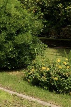 Immagine 37 di Casa indipendente in vendita  in Via Silvio Pellico a Piombino Dese