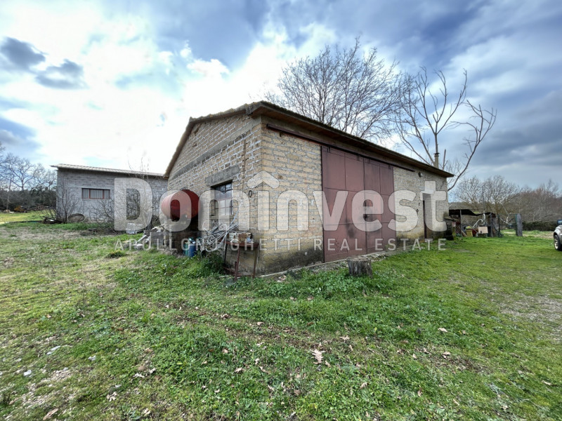 Immagine 4 di Rustico / casale in vendita  in Strada della Sgrilla a Capalbio