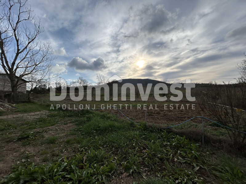 Immagine 6 di Rustico / casale in vendita  in Strada della Sgrilla a Capalbio