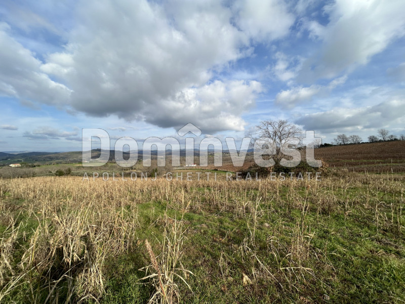 Immagine 10 di Rustico / casale in vendita  in Strada della Sgrilla a Capalbio