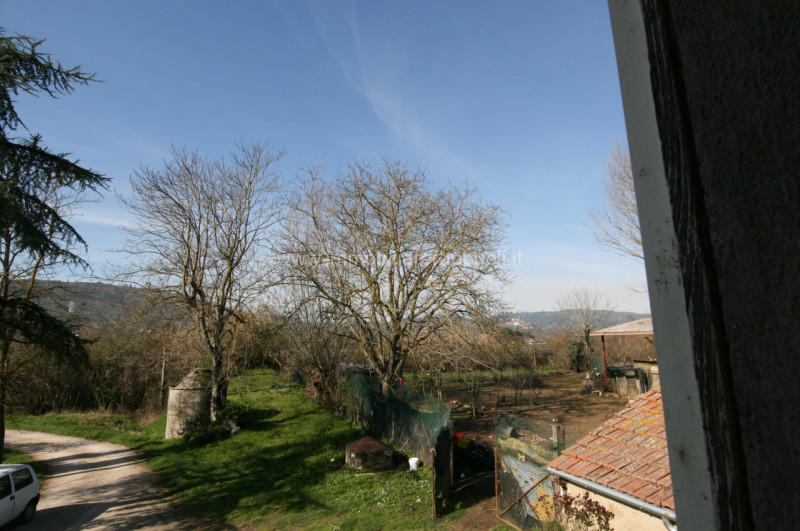 Immagine 4 di Rustico / casale in vendita  a Sinalunga