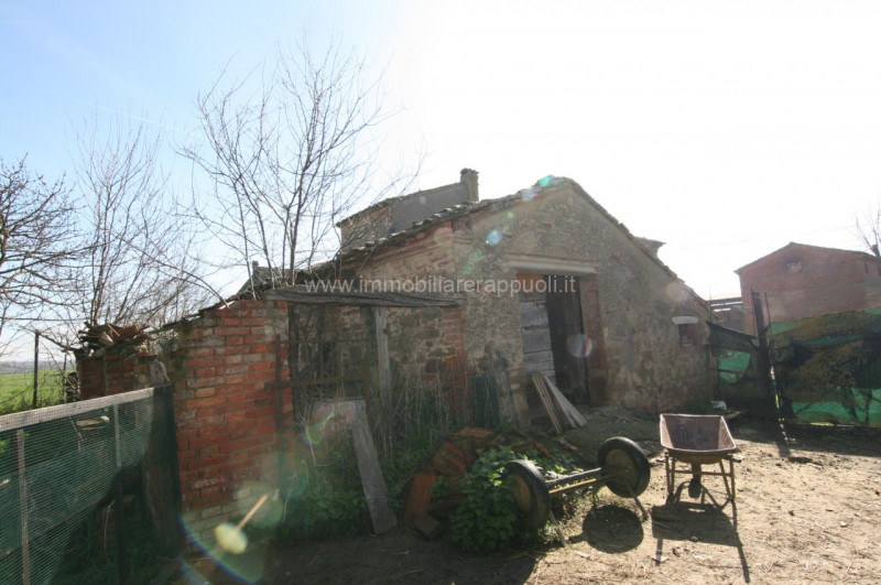 Immagine 13 di Rustico / casale in vendita  a Sinalunga