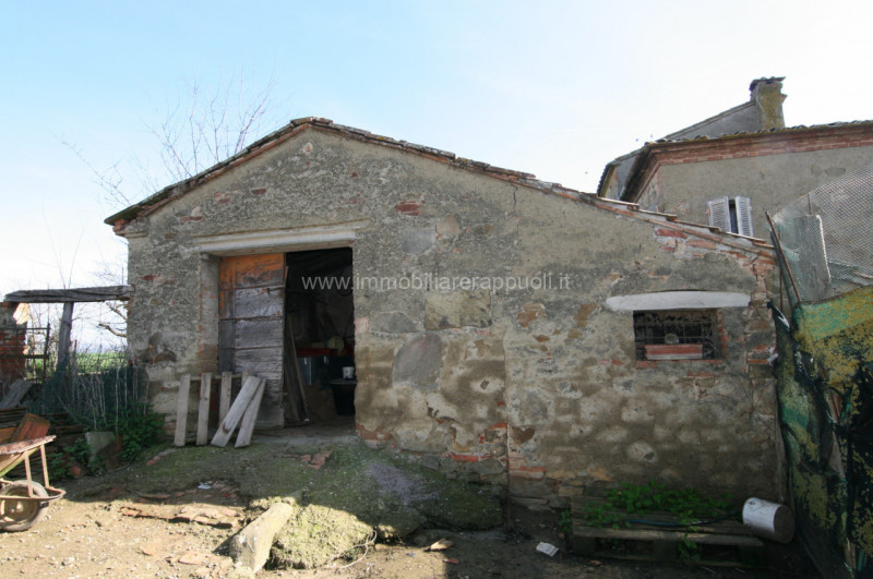 Immagine 14 di Rustico / casale in vendita  a Sinalunga