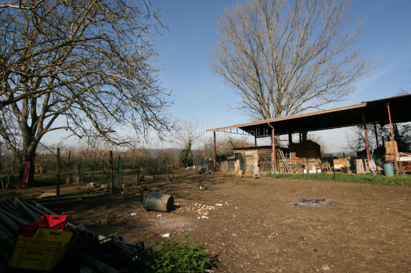 Immagine 15 di Rustico / casale in vendita  a Sinalunga