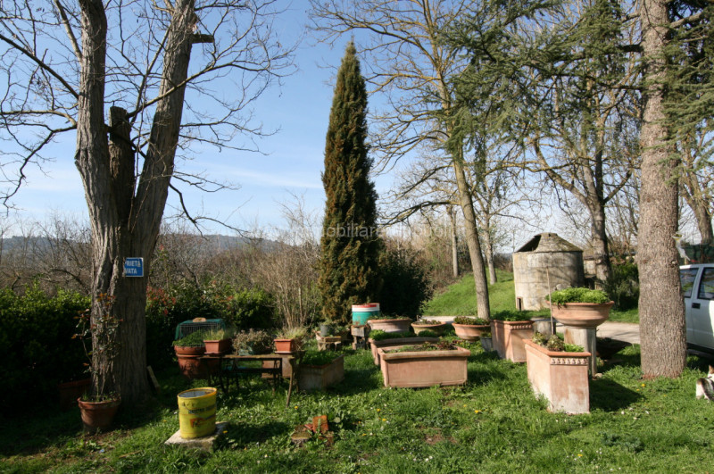 Immagine 17 di Rustico / casale in vendita  a Sinalunga