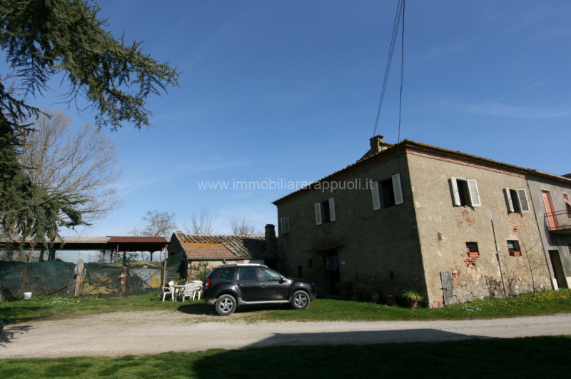 Immagine 19 di Rustico / casale in vendita  a Sinalunga