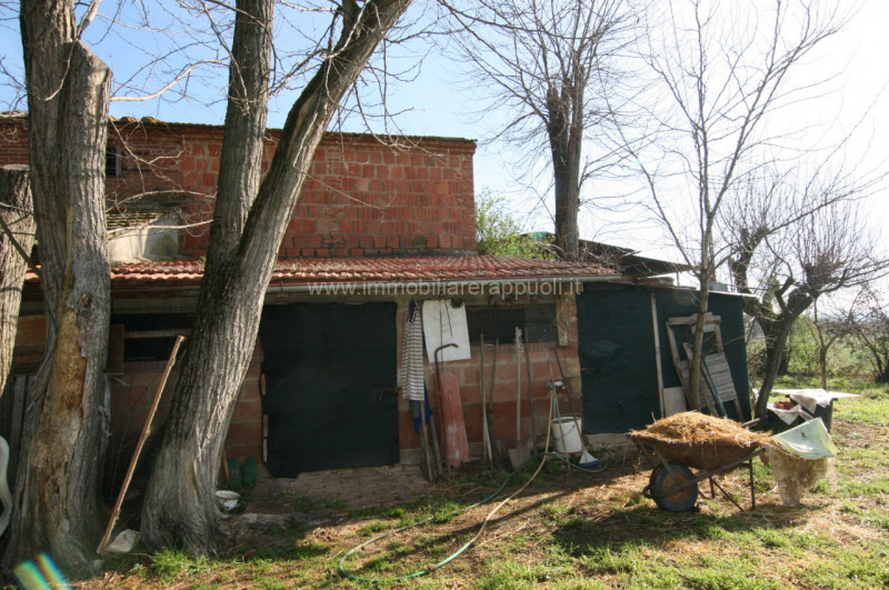 Immagine 20 di Rustico / casale in vendita  a Sinalunga