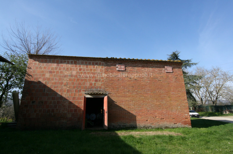 Immagine 21 di Rustico / casale in vendita  a Sinalunga
