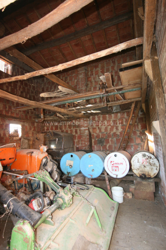 Immagine 23 di Rustico / casale in vendita  a Sinalunga