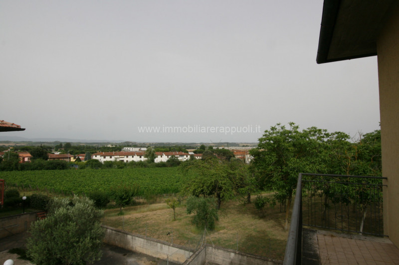 Immagine 16 di Appartamento in vendita  a Montepulciano