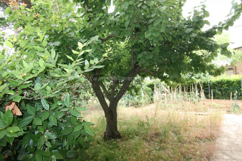 Immagine 21 di Appartamento in vendita  a Montepulciano