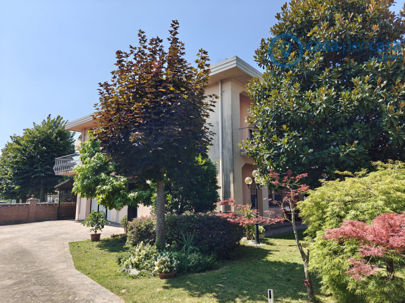 Immagine 7 di Casa indipendente in vendita  a Lusia