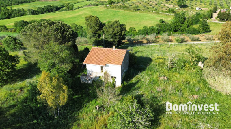 Immagine 2 di Rustico / casale in vendita  in Strada provinciale Sgrilla a Capalbio