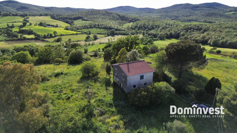 Immagine 3 di Rustico / casale in vendita  in Strada provinciale Sgrilla a Capalbio