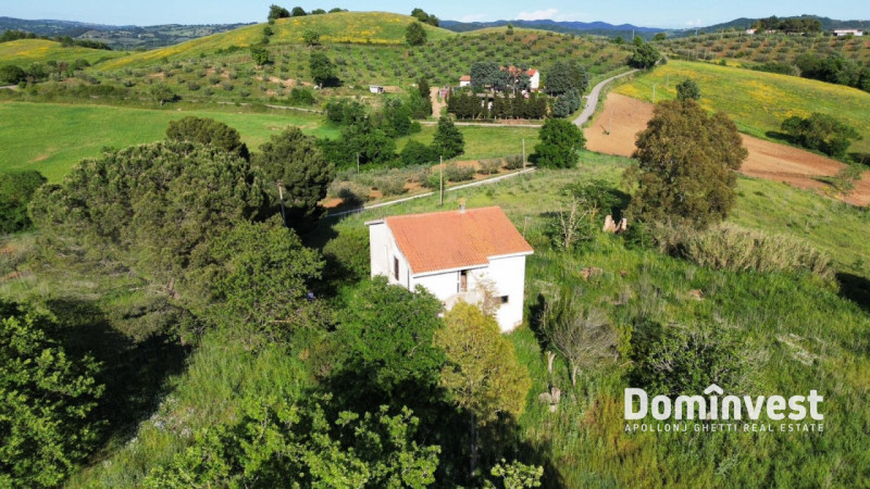 Immagine 4 di Rustico / casale in vendita  in Strada provinciale Sgrilla a Capalbio