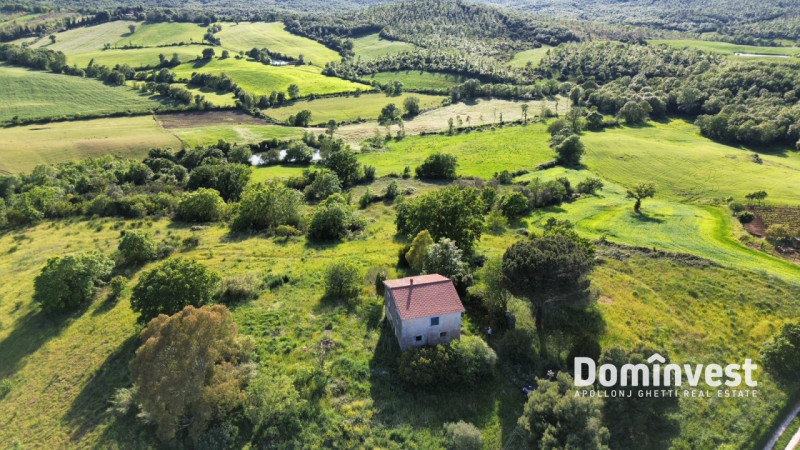 Immagine 6 di Rustico / casale in vendita  in Strada provinciale Sgrilla a Capalbio