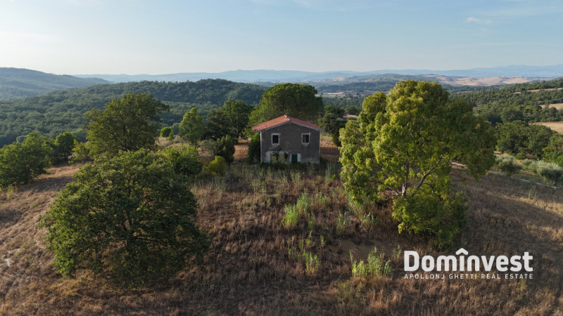Immagine 12 di Rustico / casale in vendita  in Strada provinciale Sgrilla a Capalbio