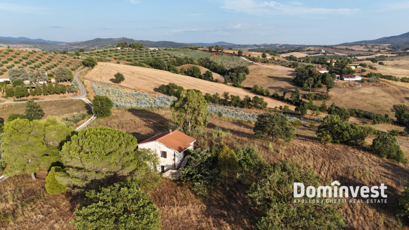 Immagine 18 di Rustico / casale in vendita  in Strada provinciale Sgrilla a Capalbio