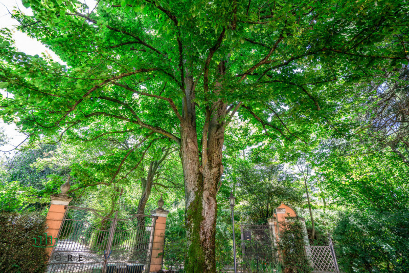 Immagine 91 di Villa in vendita  in Via Lagune a Sasso Marconi