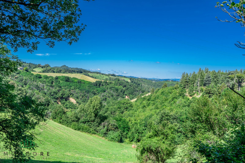 Immagine 96 di Villa in vendita  in Via Lagune a Sasso Marconi