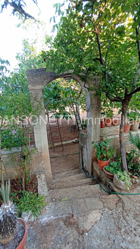 Immagine 7 di Villa in vendita  in ANES a Fasano