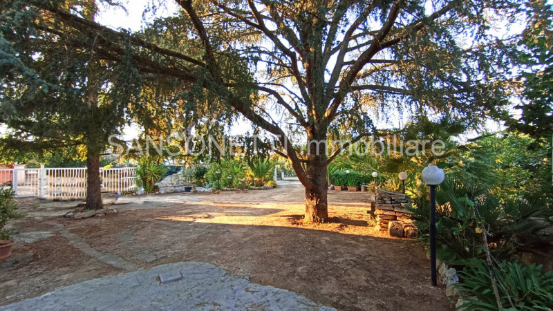 Immagine 8 di Villa in vendita  in ANES a Fasano